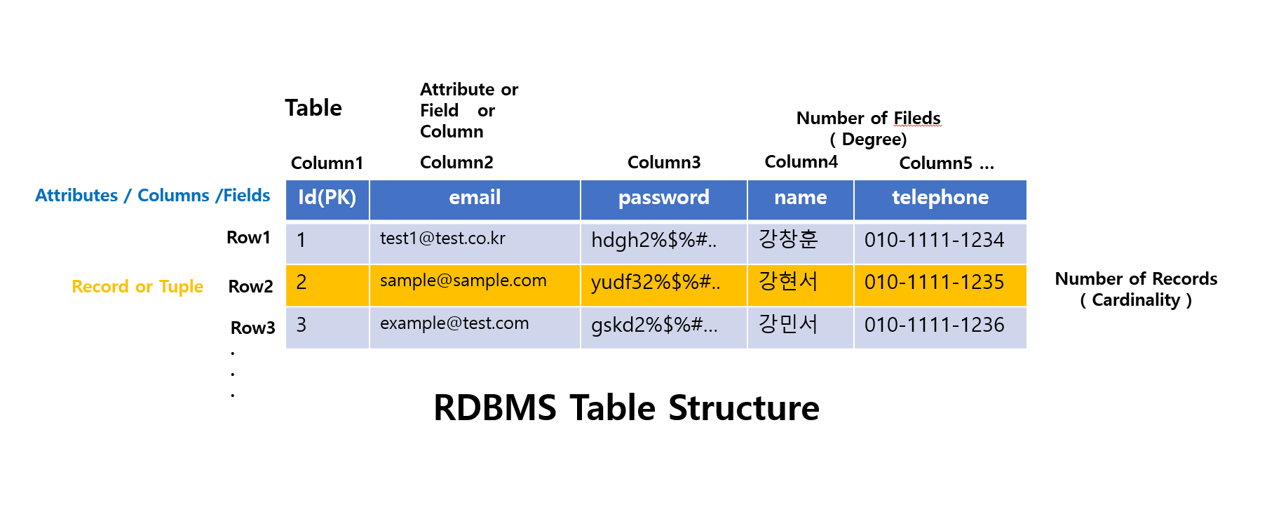 MySQL Database Table 만들기